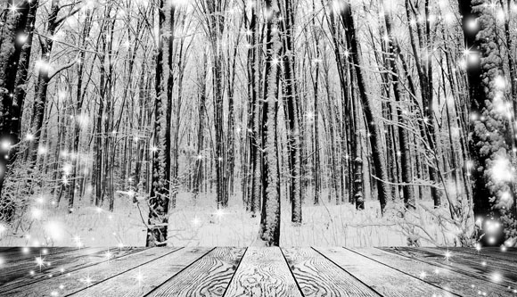 Christmas snow on the wood textured backgrounds. forest winter b