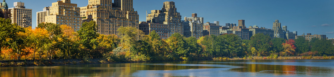 Fall at Central Park